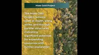 Goldshore Resources: Mineralization Advancements at the Moss Gold Project