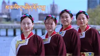 New Piwang Shabdro | ས་ཆ་ཡིད་བཞིན་ནོར་བུ། | Drora Bhumos | Gakyi Kordro Bhumos |Cho Marsen #folklore