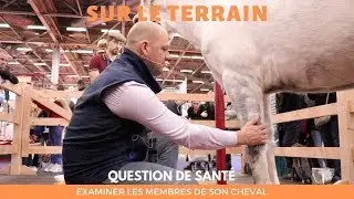 [SUR LE TERRAIN] Question de sant&eacute; : Examiner les membres de son cheval