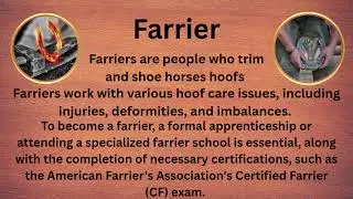 Horse Jobs