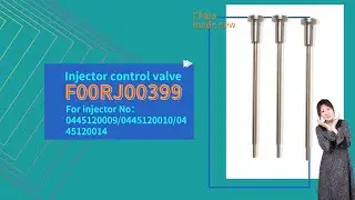 China made new | valve assembly | F00RJ00339 | for | 0445120007 | 0445120018 | injector