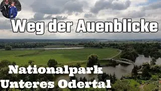 Weg der Auenblicke im Nationalpark Unteres Odertal