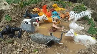 Hunting Found Animals, Cow, Mermaid, Elephant, Barbie, Duck, Lion, Goat, Monkey, Leopard, Donkey