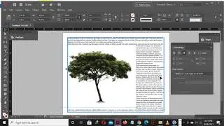 INDESIGN Text Wrap Around Image
