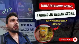 Exploring Miami public transport I Indian store in Miami I USA