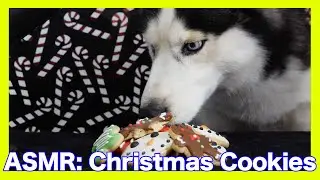 ASMR Dogs Eat and Review Christmas Cookies
