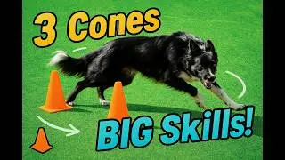 Circle Game for Agility Dogs | Build Distance & Drive with Just 3 Cones!