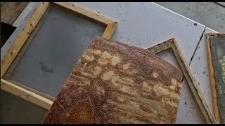 July 25, 2025 - Behind the Scenes! Building Bee Hut Screen Tops