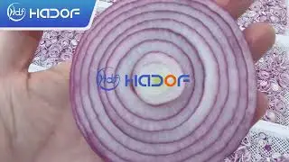 onion powder production line