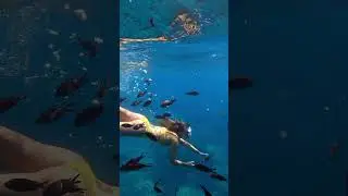 🎥 Stiamo guardando l&rsquo;Elba da nuove angolazioni  #elbaisland #isoladelba #tuscany