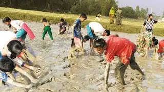 Mud Fishing Technique By Village People - Part 1 | Best Hand Fishing & Hole Fishing