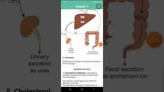 FUNCTIONS OF LIVER//PHYSIOLOGY//BIOLOGY//GIT//DIGESTIVE FUNCTIONS OF LIVER