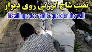چرا باید شاخ گوزنی بلرزد؟