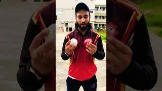 Deference between Red & white balls 😱 #cricketballs #redballs #whiteballs #cricketshorts #virul