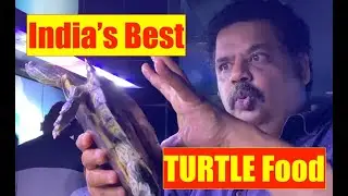Red Eared Slider Turtles | Baby Turtle | Adult Turtle Food | Mayur Dev Aquascaper | YouTube Trailer