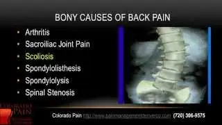 An Overview of Back Pain from a Denver Pain Management Clinic