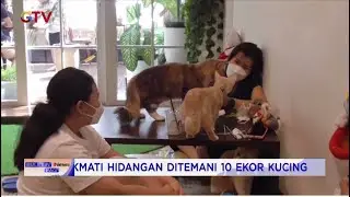 Suasana Ngafe Bareng Kucing Ala Kafe di Medan #BIP 04/11