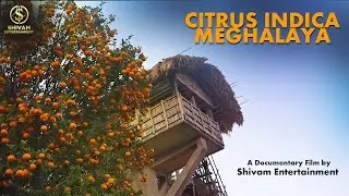 Citrus Indica, Meghalaya | A Documentary Film by Shivam Entertainment | Manash Hazarika