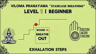 Viloma Pranayama | Level 1 | Beginner | Staircase Breathing Exercise | Exhalation Steps