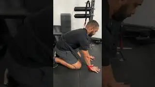 HIRTS Band Spinal segmentation in deep kneeling and quadruped positions(articulating each vertebrae)