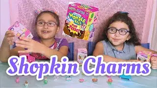 Opening Shopkins Wonder Ball Surprise With Candy!