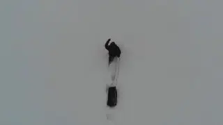 За валежником с санками