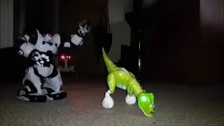 Zoomer Dino Boomer Meets Robosapien & Roboquad