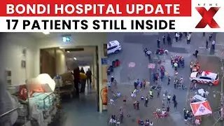 Bondi Attack Aftermath: More Bondi Attack Victims Released; 17 Still Hospitalised in Sydney