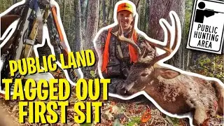 Georgia PUBLIC LAND QUOTA HUNT - (Tagged Big Buck on First Sit!)