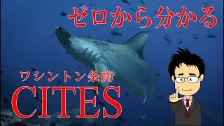 ワシントン条約（CITES）について初心者でも分かるように解説してみた【絶滅危惧種】【保全】