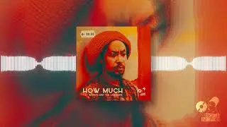 Taj Weekes & The Ligerians - How Much (Lyrics video)