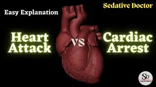 Heart Attack vs Cardiac Arrest | Understanding the differences | Sedative Doctor
