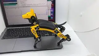 Unlock the Power of Your Bittle | Open Source Quadruped Robotics | PetoiCamp