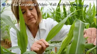 Arysta Corporate Video - Fall Armyworm