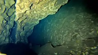 Peacock 1-Woody's Room #shearwater #diverite #cavediver @cookdaddyoutdoors