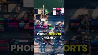 Trump's Tariffs Just CRASHED US Imports by 20% - Biggest Drop in History!  #TradeWar