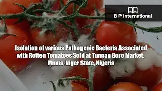 Isolation of various Pathogenic Bacteria Associated with Rotten Tomatoes Sold at Tungan Goro Market