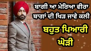 ਬਾਗੀ ਆ ਮੇਰਿਆ ਵੀਰਾ | ਮੁੰਡੇ ਦੇ ਵਿਆਹ ਦੀ ਘੋੜੀ | Punjabi lokgeet | Ghodi | Folk song | #lokgeet #ghodi
