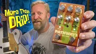 MORE THAN JUST DRIP -  Why the Source Audio Pathways is replacing my true spring