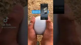 green or 52? | идем по трендам ч.2 #реки #лол #тренды #мем #юмор #egg #fidget #говрек #music