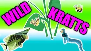 Wild Kratts Archerfish & Wild Kratts Electric Eel | Wild Kratts Games About Fish & Bugs For Kids
