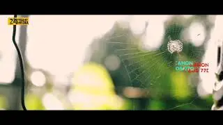 CANON EOS 77D - cinematic video test 18-55mm