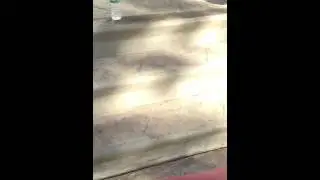 Football trick shots ft ALPHAMARINE