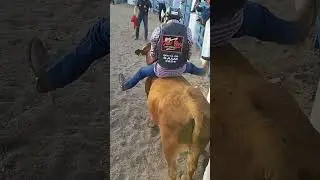 Rodeo Sauz  de Ures 24. 1
