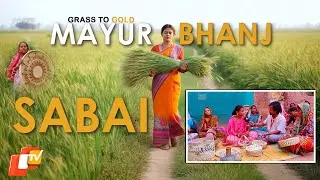 OTV Special: Inspiring Story Of Mayurbhanj Women Who Built An Empire From Sabai Grass
