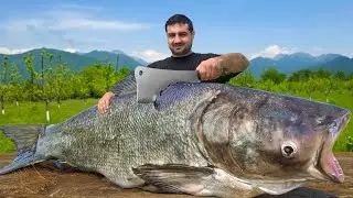 Wilderness Style Fish & Campfire Cooking &ndash; Nature at Its Best 🏕️🐟