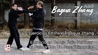 Bagua Zhang - Taladro de pareja de palma perforadora (Chuan Zhang) - LECCIÓN GRATUITA #bagua #八卦掌