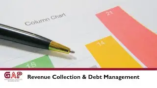 Revenue Collection and Debt Management