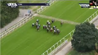 Race (2) 14:25 York 22 Aug 2024 Harry's Half Million By Goffs Premier Yearling Stakes