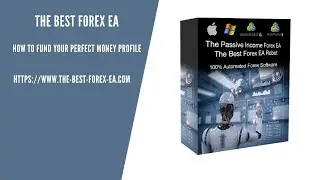 How To Connect to The VPS on Windows | The Best Forex EA Bot